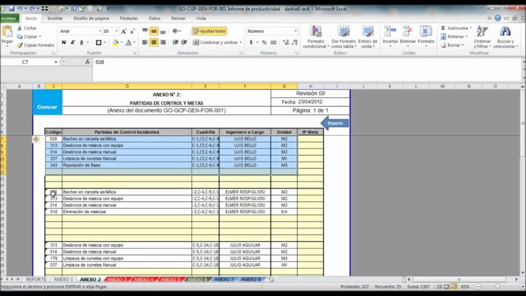 Un Ejemplo de Reporte de Productividad Optimizado y Conciso