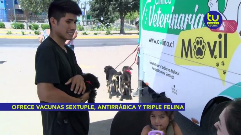 Servicios de veterinario a domicilio en Monterrey: Cuidado &oacute;ptimo para tus mascotas