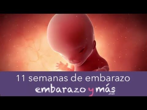 11 semanas en meses: La conversi&oacute;n simplificada