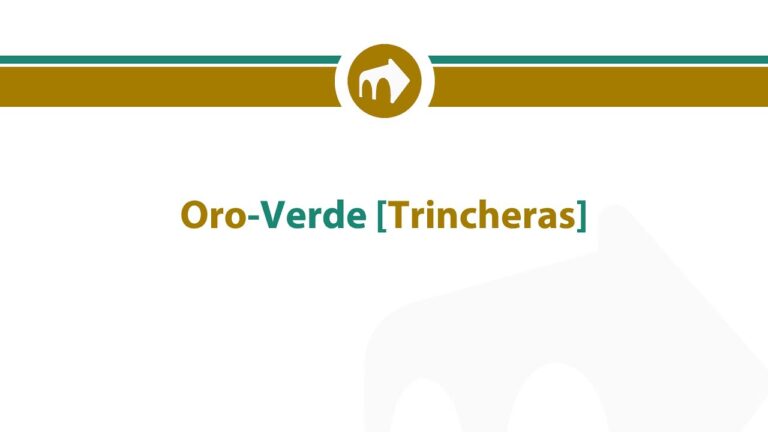 Ruta Oro Verde: Descubre la Belleza Natural de Morelia