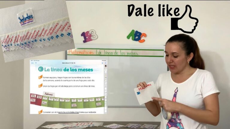 La Línea de los Meses: Una Guía Concisa del Año