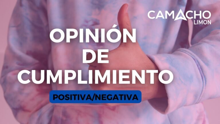 Opini&oacute;n Negativa sobre SAT: Consecuencias y Reflexiones