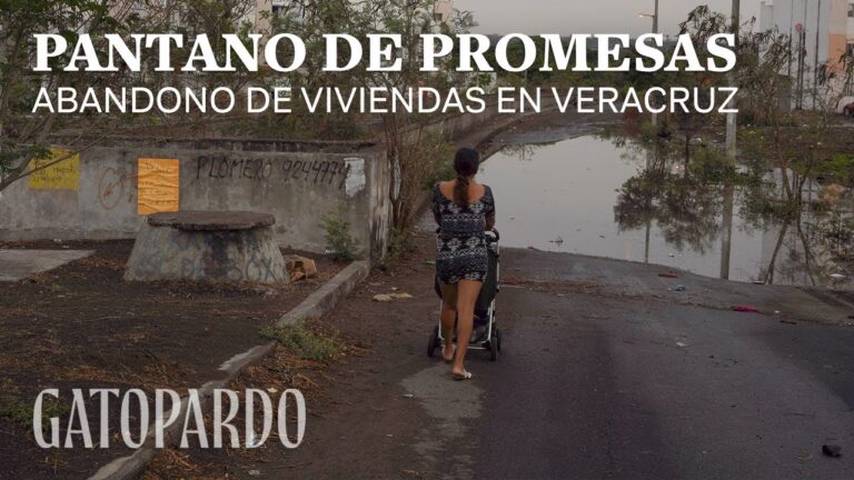 Casas de Remate Infonavit en Veracruz: Oportunidades de Vivienda