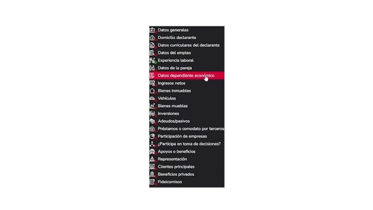 Declaración Patrimonial en Nuevo León: Optimización y Concisión