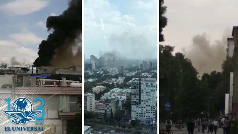 La creciente popularidad de Domino’s en Insurgentes Sur: &iquest;Por qu&eacute; est&aacute; arrasando en esta zona de la ciudad?