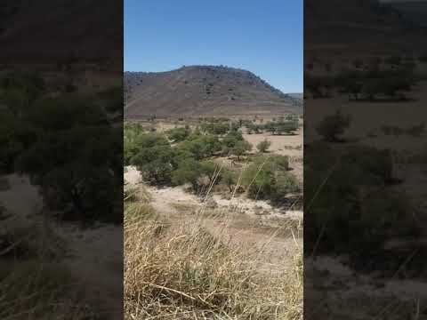 Distancia de Chihuahua a Cuauht&eacute;moc: Recorrido r&aacute;pido y eficiente