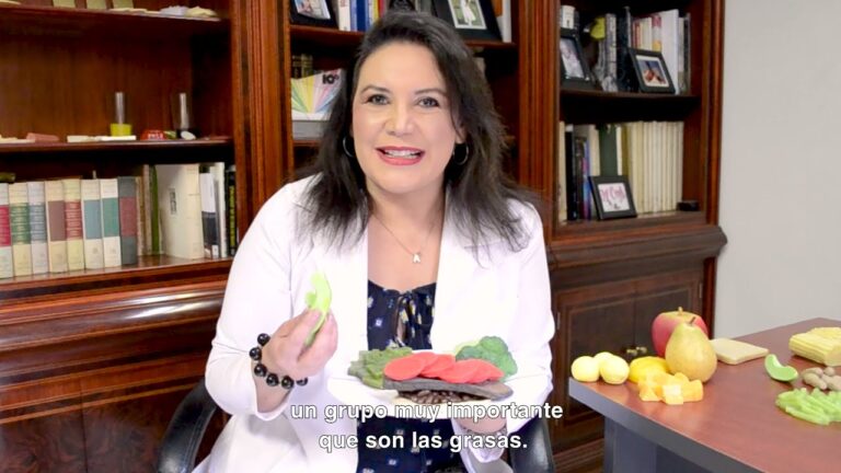 Comidas saludables seg&uacute;n el plato del buen comer
