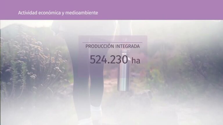 El impacto del ambiente econ&oacute;mico en el desarrollo empresarial