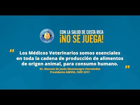 Servicio M&eacute;dico Veterinario: Cuidado experto para tu mascota