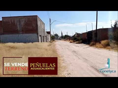 Terrenos en Aguascalientes: Oportunidades inmobiliarias en una ciudad en crecimiento