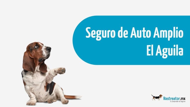 Seguros El &Aacute;guila: Cobertura Amplia para tu Protecci&oacute;n Total