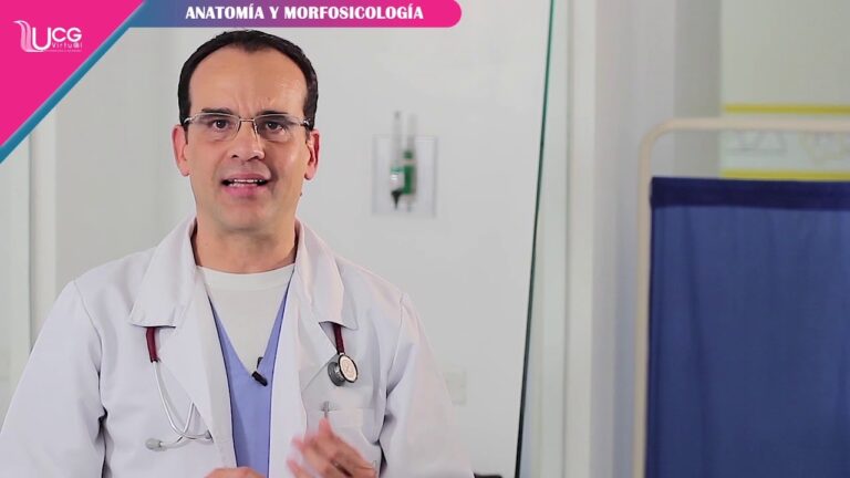 Descubre c&oacute;mo crear un proyecto de vida saludable