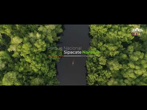 Directorio de Parques en Polanco: Encuentra tu espacio verde ideal