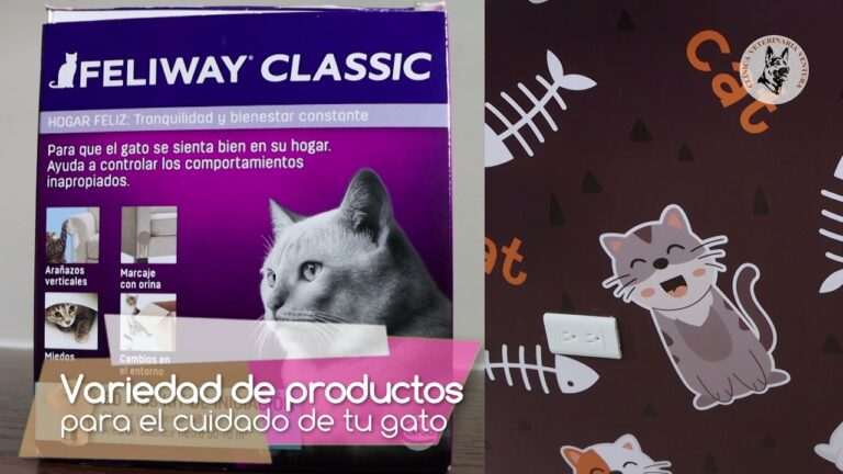 Ventura Animal: La Cl&iacute;nica Veterinaria Optima para tu Mascota