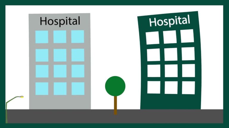 Primas de Seguros de Gastos Médicos: Optimización y Concisión