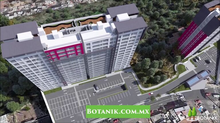 AV Tamaulipas 1217: Un enfoque optimizado y conciso