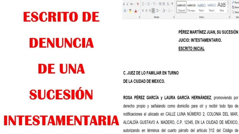 La demanda de sucesi&oacute;n intestamentaria: procedimientos y requisitos