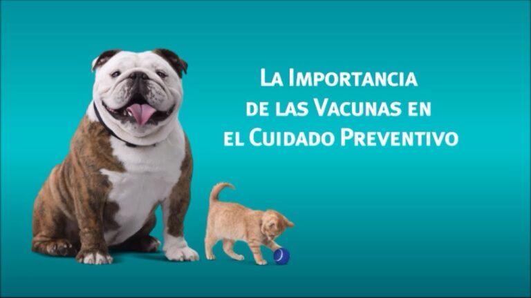El esquema de vacunaci&oacute;n de perros en M&eacute;xico: Gu&iacute;a completa