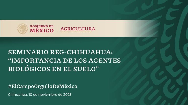 Tipos de suelo en Chihuahua: Todo lo que necesitas saber