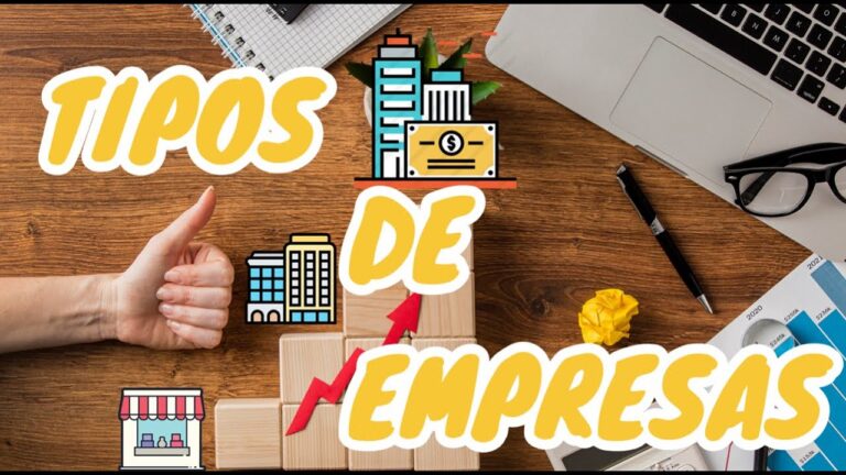 Tipos de Empresas en M&eacute;xico: Gu&iacute;a Completa