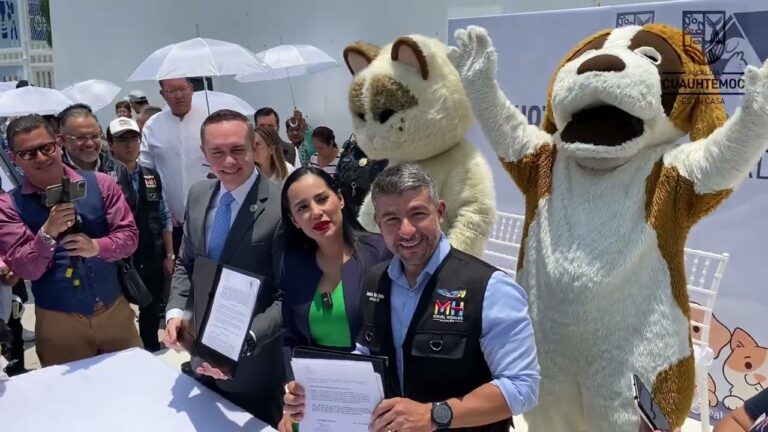 Pensiones para gatos en CDMX: Comodidad y cuidado garantizado