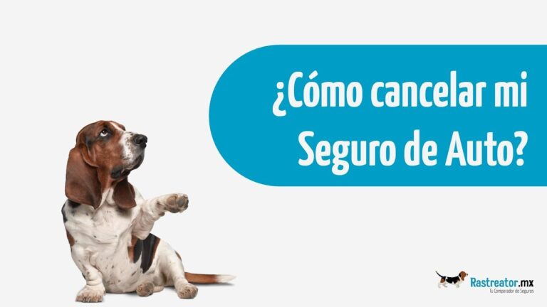 Carta de cancelaci&oacute;n de seguro de auto: C&oacute;mo hacerlo de manera efectiva