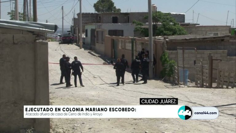 Descubre la historia y encanto de la Colonia Mariano Escobedo