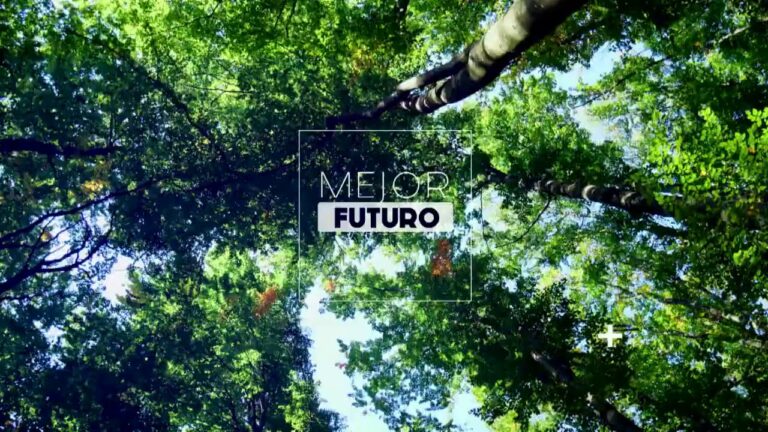 Emprendimiento sostenible: impulsando el futuro verde