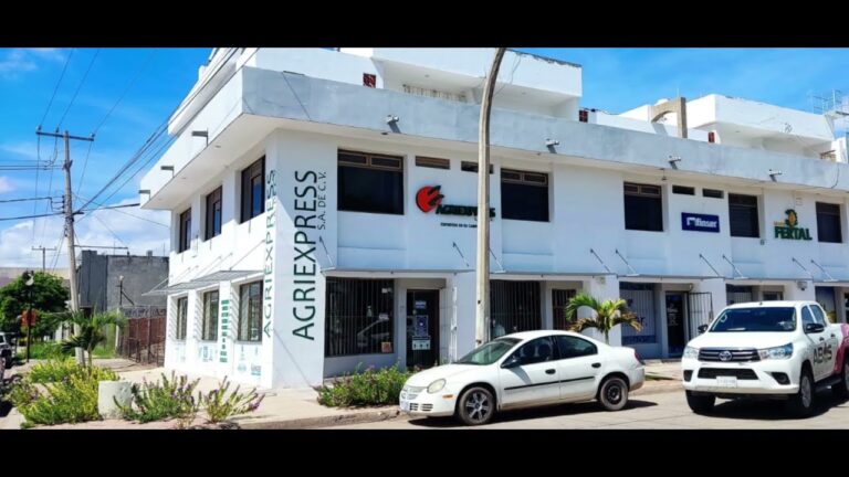Descubre las mejores opciones de renta en Los Mochis