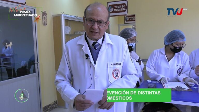 Las mejores veterinarias en La Paz, BCS: cuidado experto para tus mascotas