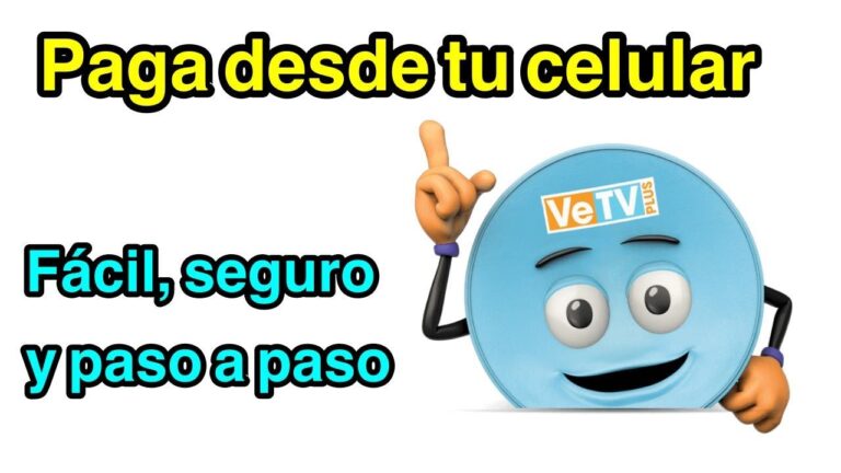 C&oacute;mo pagar Vetv en l&iacute;nea: Gu&iacute;a f&aacute;cil y r&aacute;pida