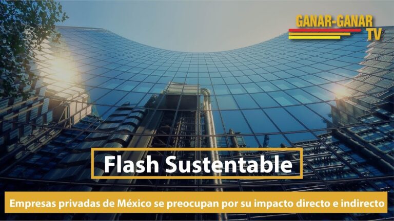 El papel de las empresas privadas en M&eacute;xico: Una visi&oacute;n optimizada