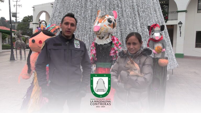 Las mejores veterinarias en Magdalena Contreras: Cuidado experto para tu mascota