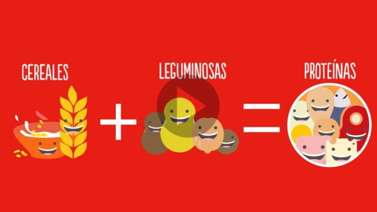 La importancia de una dieta equilibrada: frutas, verduras, cereales, leguminosas y alimentos de origen animal