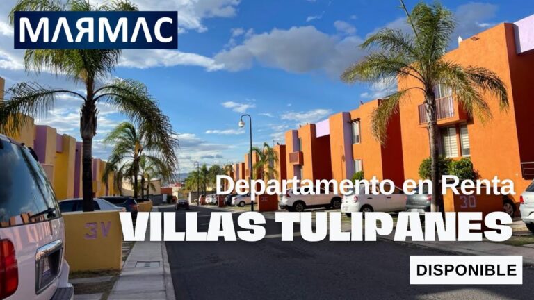 Descubre la belleza de los tulipanes en Quer&eacute;taro