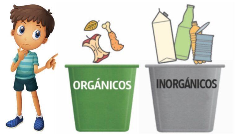 Botes org&aacute;nicos e inorg&aacute;nicos: una gu&iacute;a para la clasificaci&oacute;n de residuos