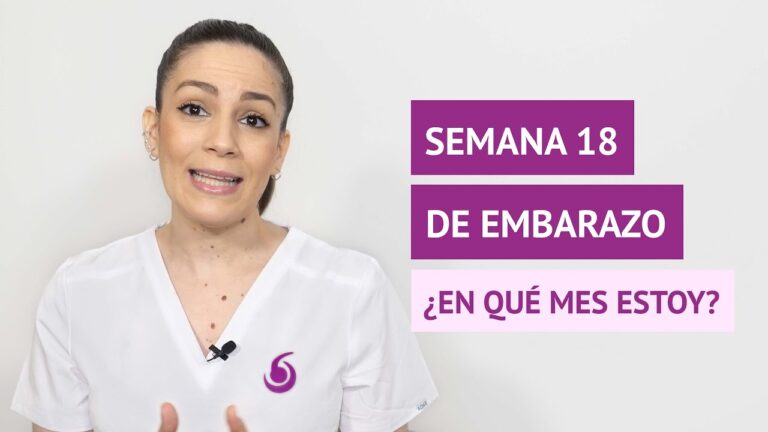 &iquest;Cu&aacute;ntas semanas son 18 meses?
