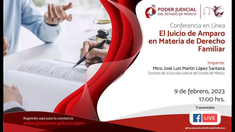 Optimizaci&oacute;n y concisi&oacute;n del derecho mexicano: Formatos imprescindibles