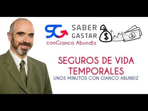 Seguro de Vida Temporal: Protección Financiera a Corto Plazo