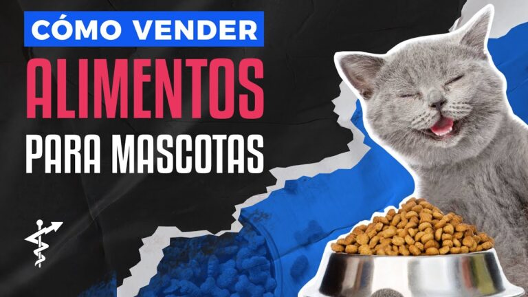 Venta de alimentos para mascotas: la mejor opci&oacute;n para su bienestar