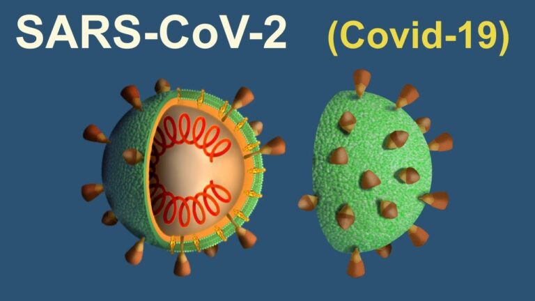 C&oacute;mo M&eacute;xico cre&oacute; un virus celular