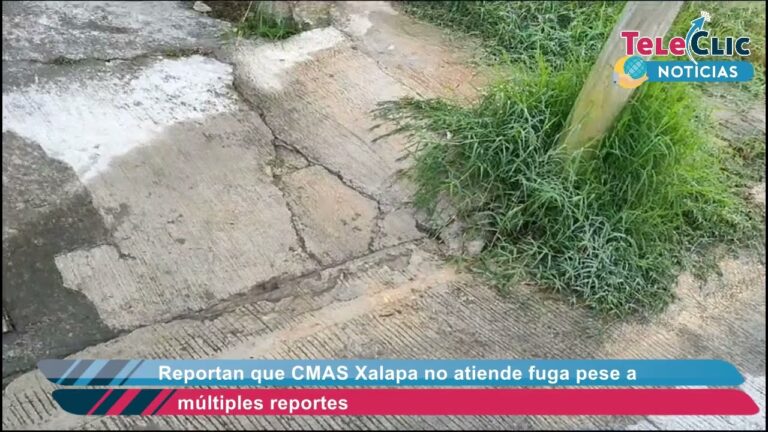 Reportes veraces del Grupo M&aacute;s Veracruz