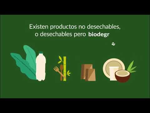 Productos biodegradables: Una solución sostenible para el medio ambiente