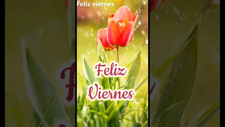 Tarjetas de Buen D&iacute;a Viernes: Mensajes optimistas para empezar el fin de semana