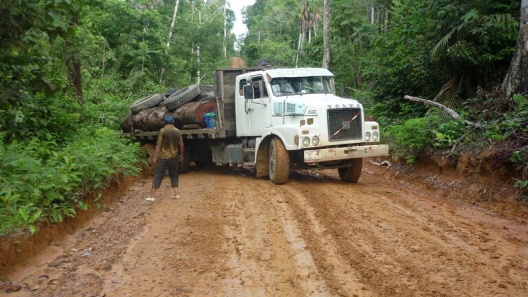 La justificación de la deforestación: análisis de sus impactos y perspectivas