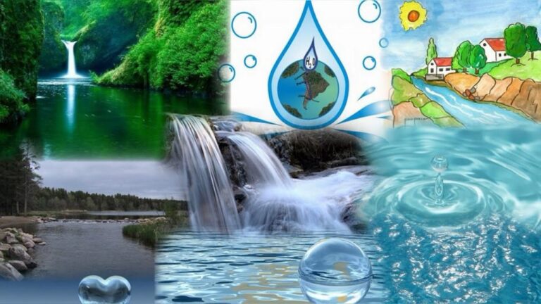 Formas eficientes de ahorrar agua en la vida diaria