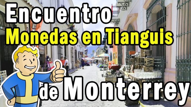 Stecotec Coin Management Software Stecotec Gestión De Monedas Pro 16 - Programa Profesional Para Coleccionistas (Descarga Licencia) Software Coleccionismo Monedas Stecotec