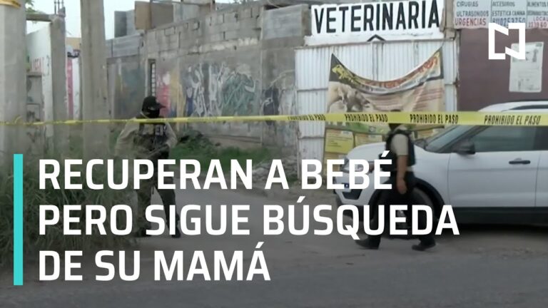 Servicios de veterinaria en Ju&aacute;rez, Nuevo Le&oacute;n: Cuidado &oacute;ptimo para tus mascotas