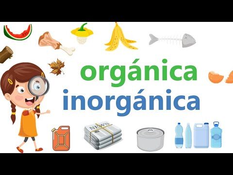 Optimización de la gestión de residuos: Contenedores para basura orgánica e inorgánica