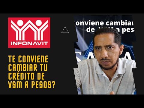 VSM vs pesos: &iquest;Cu&aacute;l es la mejor opci&oacute;n?